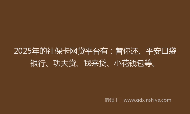2025年的社保卡网贷平台有:替你还、平安口袋银行、功夫贷、我来贷、小花钱包等。