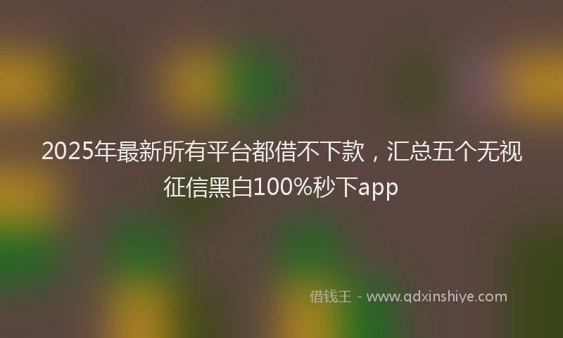 2025年最新所有平台都借不下款，汇总五个无视征信黑白100%秒下app