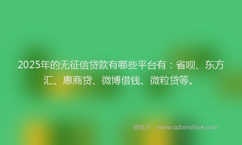 2025年的无征信贷款有哪些平台有：省呗、东方汇、惠商贷、微博借钱、微粒贷等。