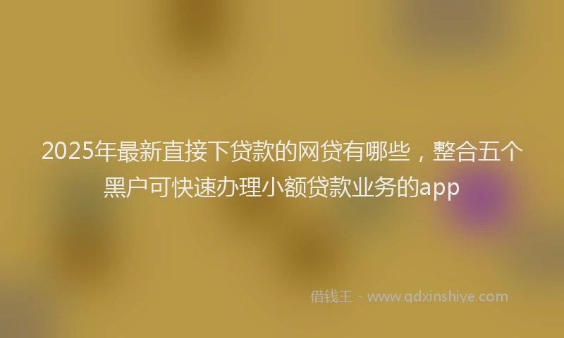 2025年最新直接下贷款的网贷有哪些，整合五个黑户可快速办理小额贷款业务的app