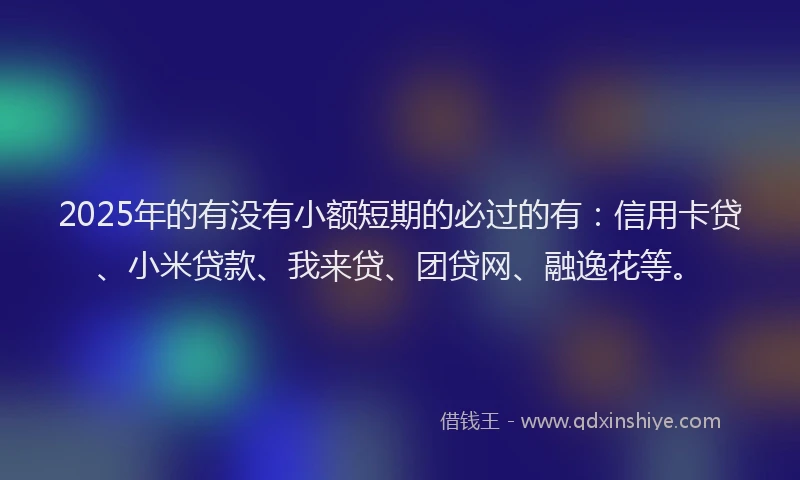 2025年的有没有小额短期的必过的有：信用卡贷、小米贷款、我来贷、团贷网、融逸花等。