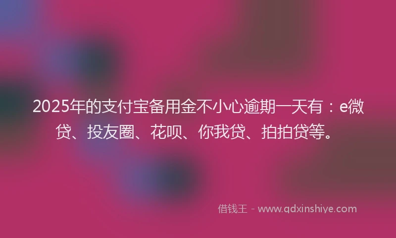 2025年的支付宝备用金不小心逾期一天有：e微贷、投友圈、花呗、你我贷、拍拍贷等。