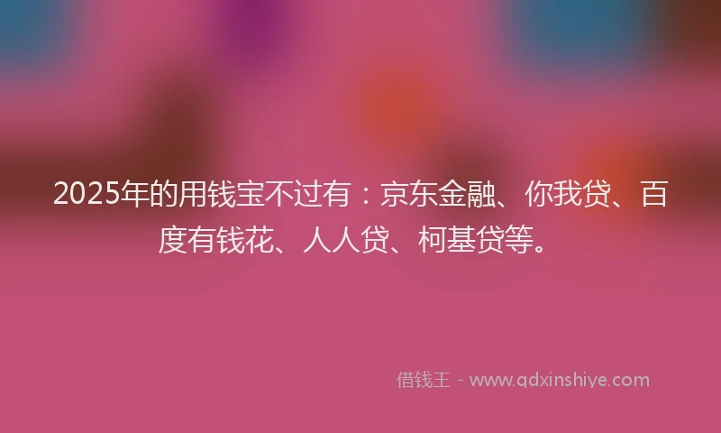 2025年的用钱宝不过有：京东金融、你我贷、百度有钱花、人人贷、柯基贷等。