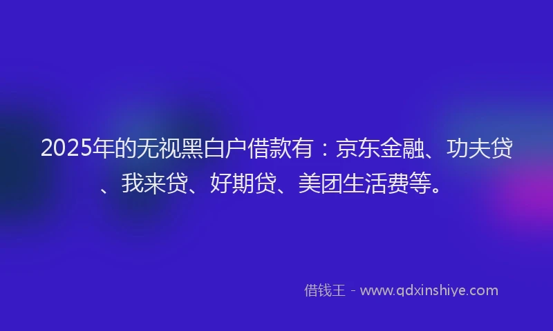 2025年的无视黑白户借款有：京东金融、功夫贷、我来贷、好期贷、美团生活费等。