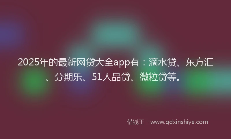 2025年的最新网贷大全app有：滴水贷、东方汇、分期乐、51人品贷、微粒贷等。