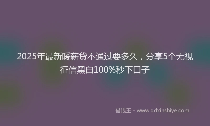 2025年最新暖薪贷不通过要多久，分享5个无视征信黑白100%秒下口子
