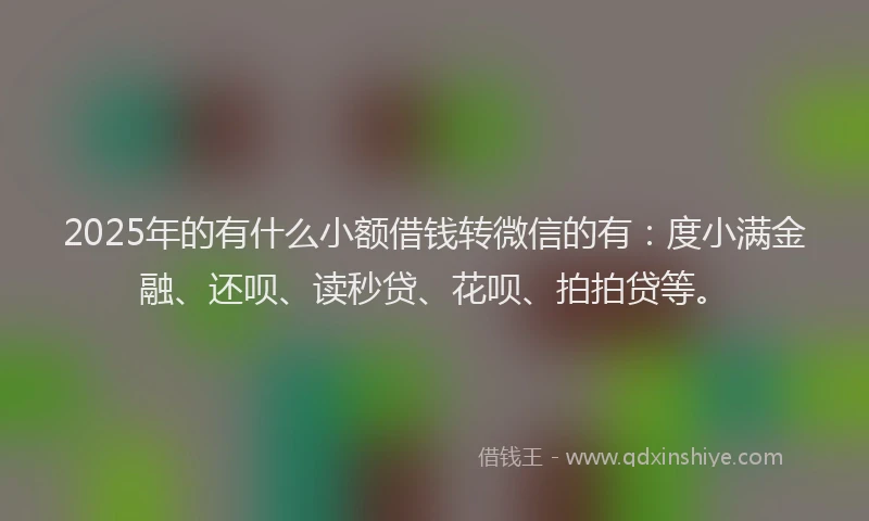 2025年的有什么小额借钱转微信的有：度小满金融、还呗、读秒贷、花呗、拍拍贷等。