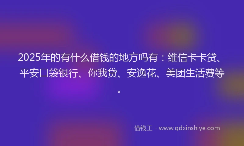 2025年的有什么借钱的地方吗有：维信卡卡贷、平安口袋银行、你我贷、安逸花、美团生活费等。