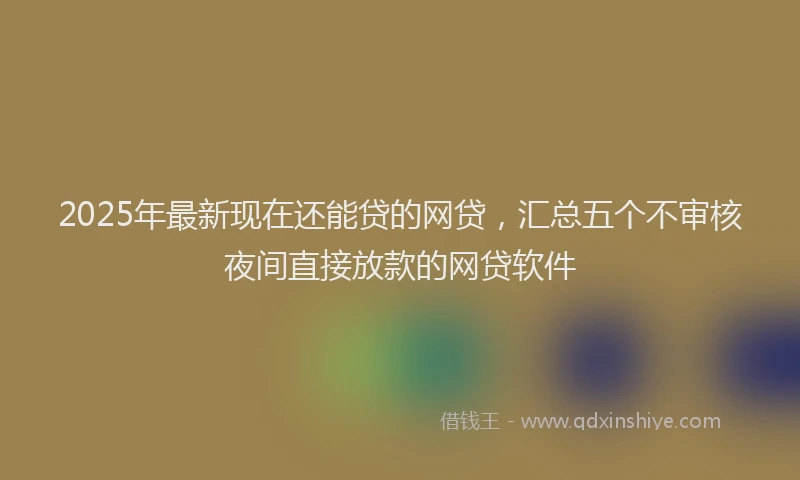 2025年最新现在还能贷的网贷，汇总五个不审核夜间直接放款的网贷软件