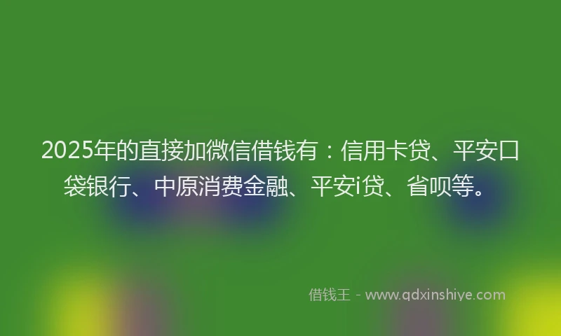 2025年的直接加微信借钱有：信用卡贷、平安口袋银行、中原消费金融、平安i贷、省呗等。