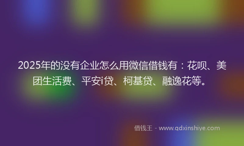 2025年的没有企业怎么用微信借钱有：花呗、美团生活费、平安i贷、柯基贷、融逸花等。