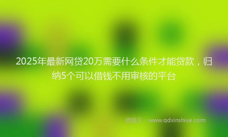 2025年最新网贷20万需要什么条件才能贷款，归纳5个可以借钱不用审核的平台