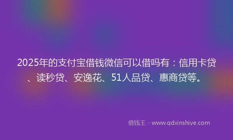 2025年的支付宝借钱微信可以借吗有：信用卡贷、读秒贷、安逸花、51人品贷、惠商贷等。