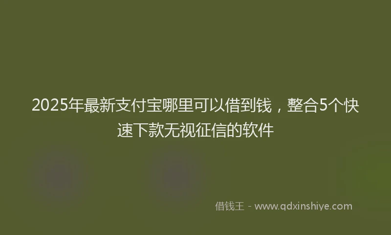 2025年最新支付宝哪里可以借到钱，整合5个快速下款无视征信的软件
