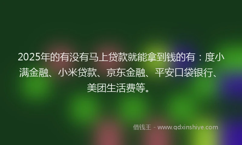 2025年的有没有马上贷款就能拿到钱的有：度小满金融、小米贷款、京东金融、平安口袋银行、美团生活费等。