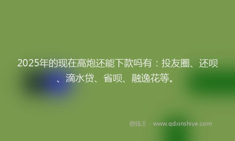 2025年的现在高炮还能下款吗有：投友圈、还呗、滴水贷、省呗、融逸花等。