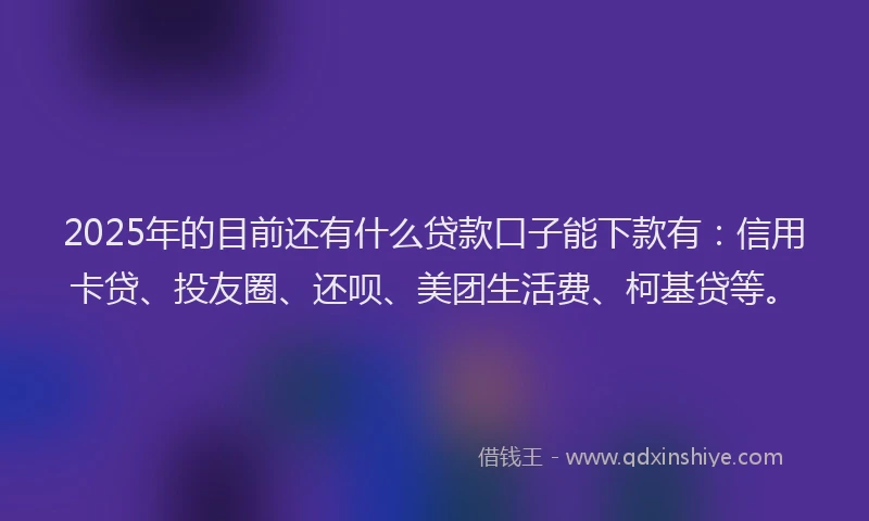 2025年的目前还有什么贷款口子能下款有：信用卡贷、投友圈、还呗、美团生活费、柯基贷等。