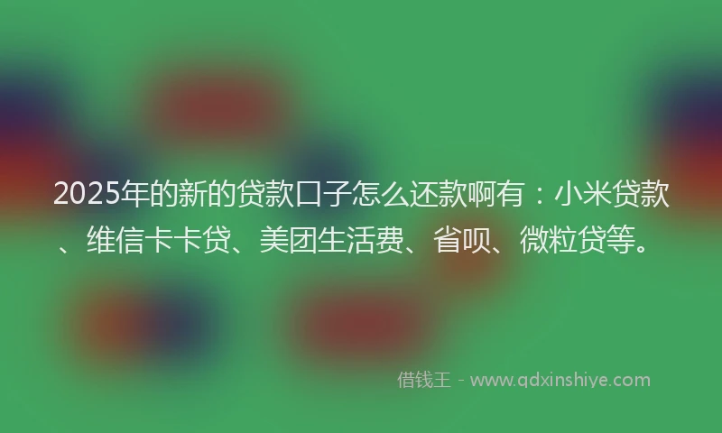 2025年的新的贷款口子怎么还款啊有：小米贷款、维信卡卡贷、美团生活费、省呗、微粒贷等。