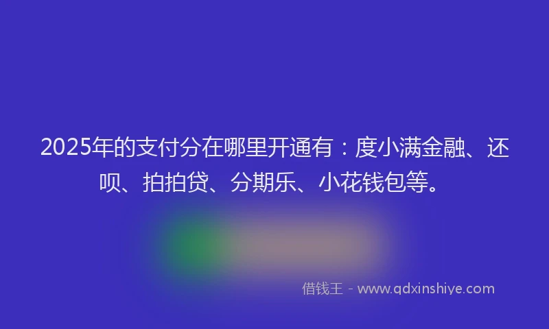 2025年的支付分在哪里开通有：度小满金融、还呗、拍拍贷、分期乐、小花钱包等。