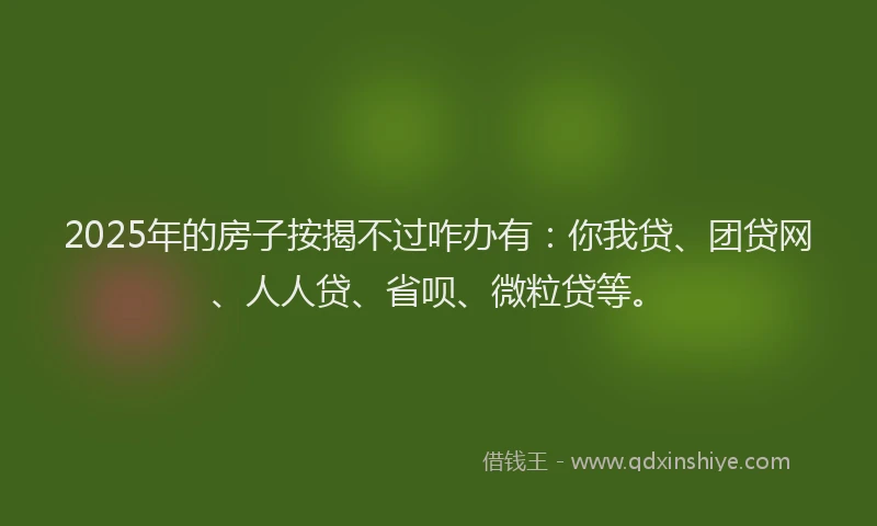 2025年的房子按揭不过咋办有：你我贷、团贷网、人人贷、省呗、微粒贷等。