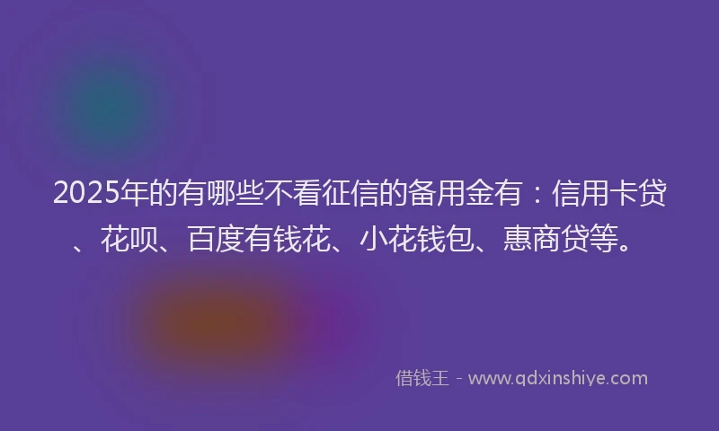 2025年的有哪些不看征信的备用金有：信用卡贷、花呗、百度有钱花、小花钱包、惠商贷等。