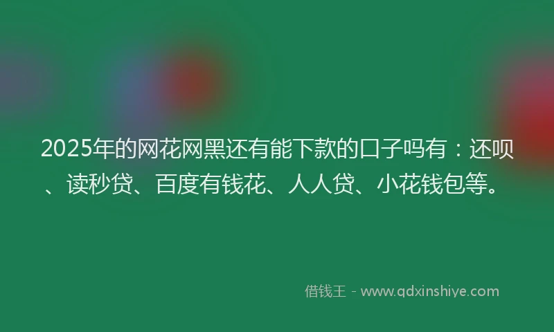 2025年的网花网黑还有能下款的口子吗有：还呗、读秒贷、百度有钱花、人人贷、小花钱包等。