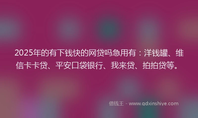 2025年的有下钱快的网贷吗急用有：洋钱罐、维信卡卡贷、平安口袋银行、我来贷、拍拍贷等。