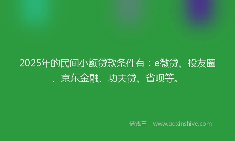 2025年的民间小额贷款条件有：e微贷、投友圈、京东金融、功夫贷、省呗等。