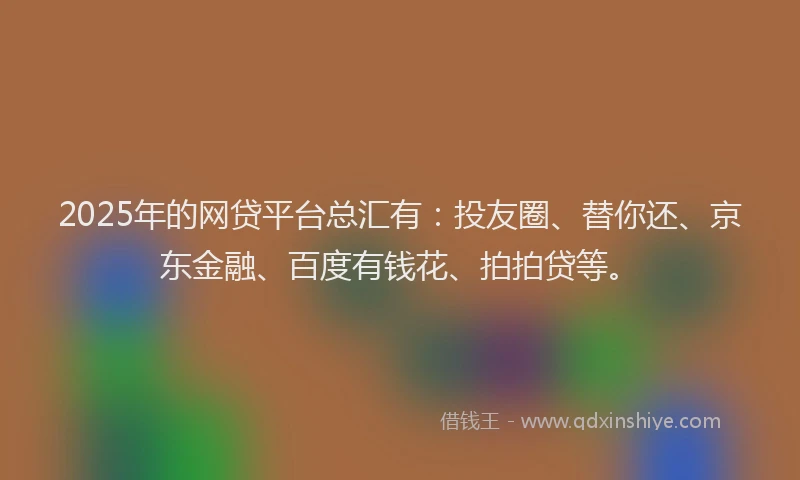 2025年的网贷平台总汇有：投友圈、替你还、京东金融、百度有钱花、拍拍贷等。