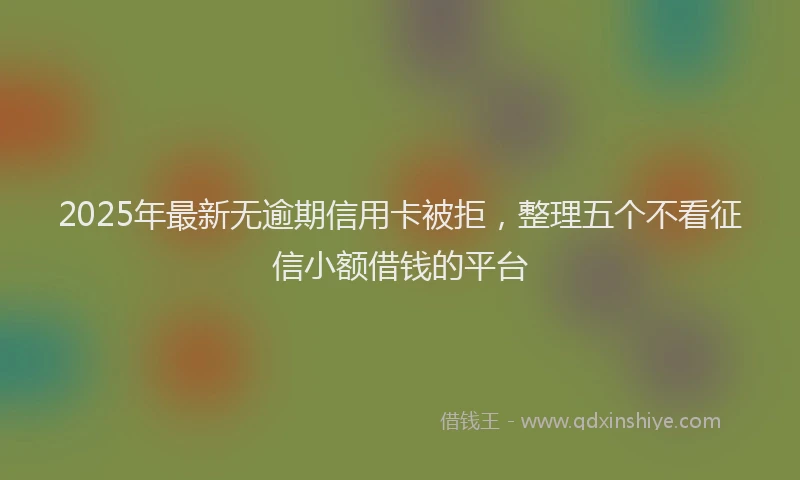 2025年最新无逾期信用卡被拒，整理五个不看征信小额借钱的平台