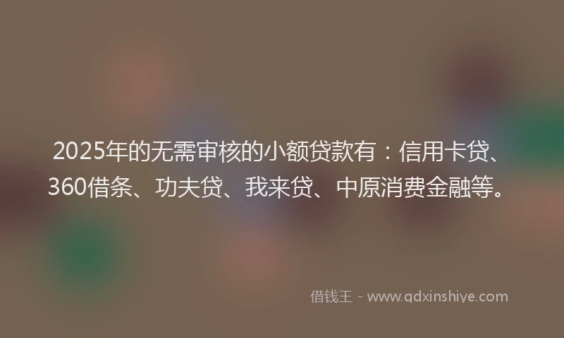 2025年的无需审核的小额贷款有：信用卡贷、360借条、功夫贷、我来贷、中原消费金融等。
