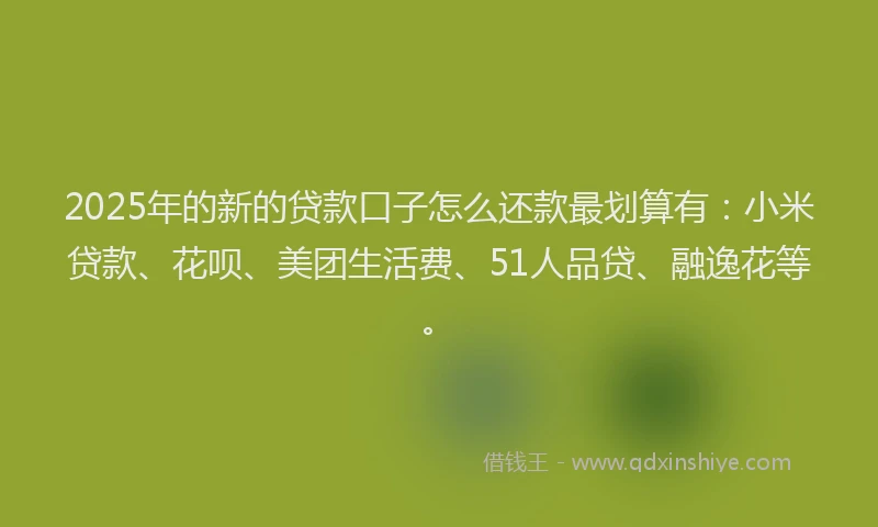 2025年的新的贷款口子怎么还款最划算有：小米贷款、花呗、美团生活费、51人品贷、融逸花等。