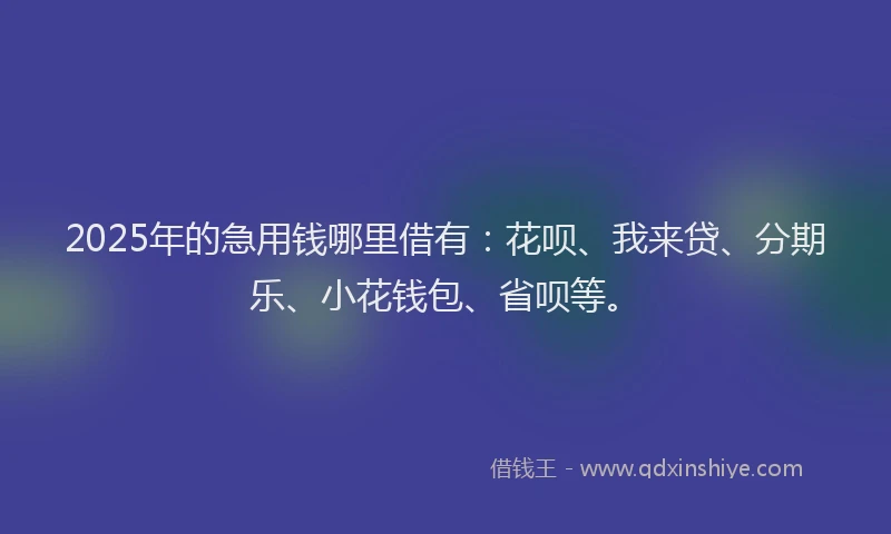2025年的急用钱哪里借有：花呗、我来贷、分期乐、小花钱包、省呗等。