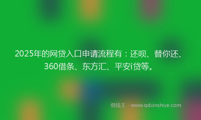 2025年的网贷入口申请流程有：还呗、替你还、360借条、东方汇、平安i贷等。