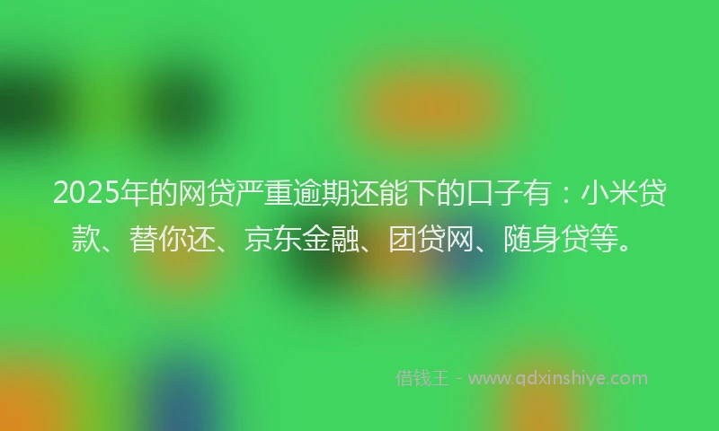 2025年的网贷严重逾期还能下的口子有：小米贷款、替你还、京东金融、团贷网、随身贷等。