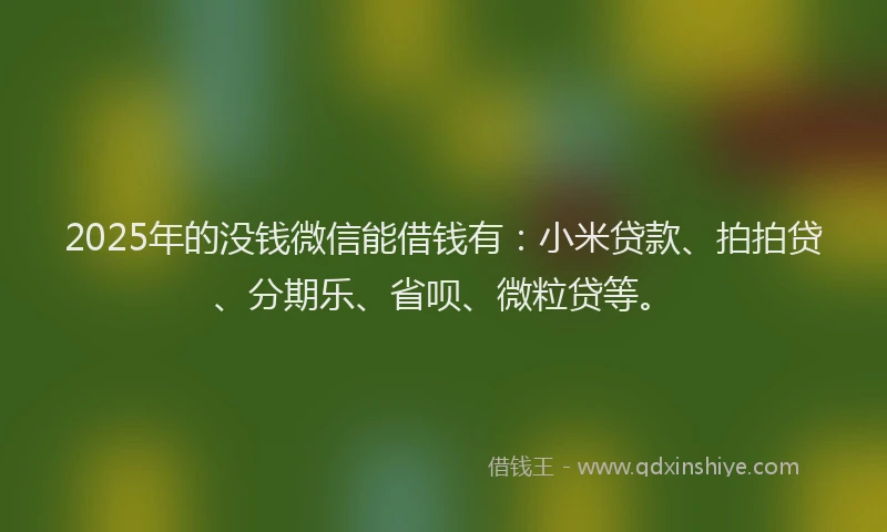 2025年的没钱微信能借钱有：小米贷款、拍拍贷、分期乐、省呗、微粒贷等。