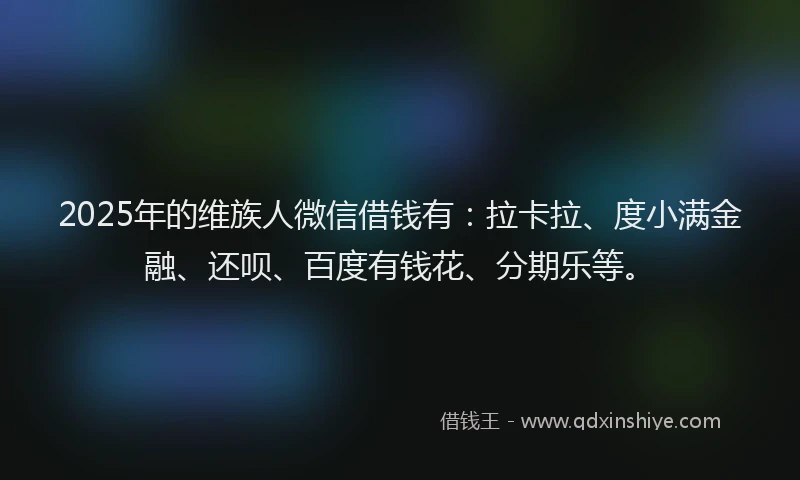2025年的维族人微信借钱有：拉卡拉、度小满金融、还呗、百度有钱花、分期乐等。