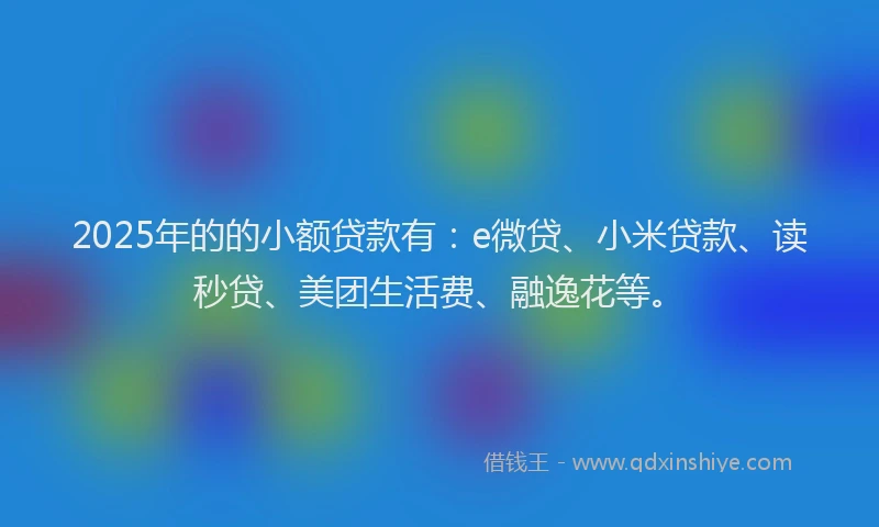 2025年的的小额贷款有：e微贷、小米贷款、读秒贷、美团生活费、融逸花等。