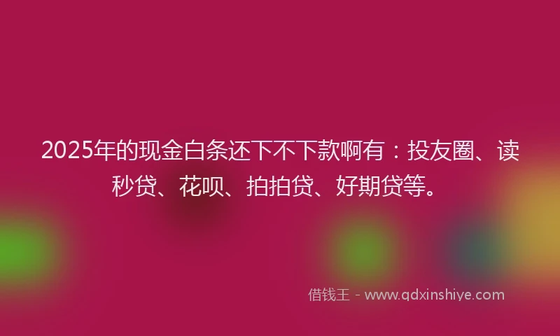 2025年的现金白条还下不下款啊有：投友圈、读秒贷、花呗、拍拍贷、好期贷等。