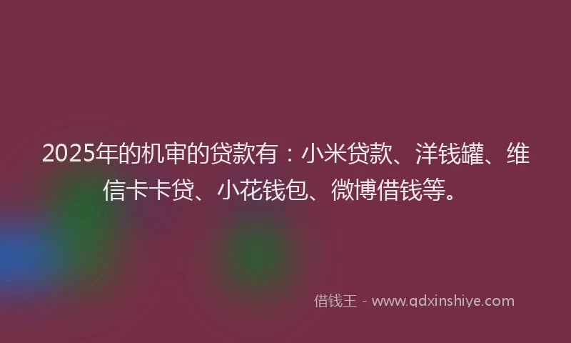 2025年的机审的贷款有：小米贷款、洋钱罐、维信卡卡贷、小花钱包、微博借钱等。