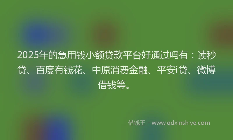 2025年的急用钱小额贷款平台好通过吗有：读秒贷、百度有钱花、中原消费金融、平安i贷、微博借钱等。