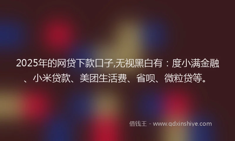 2025年的网贷下款口子,无视黑白有：度小满金融、小米贷款、美团生活费、省呗、微粒贷等。