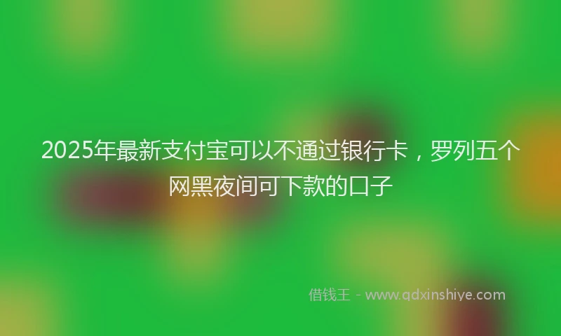 2025年最新支付宝可以不通过银行卡，罗列五个网黑夜间可下款的口子