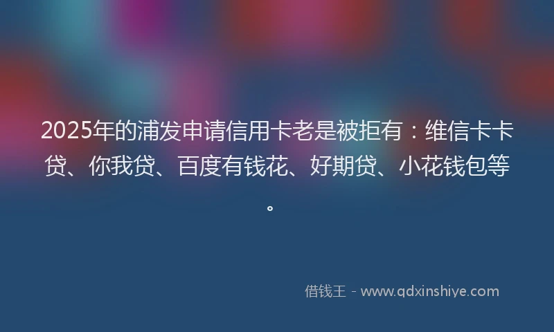 2025年的浦发申请信用卡老是被拒有：维信卡卡贷、你我贷、百度有钱花、好期贷、小花钱包等。