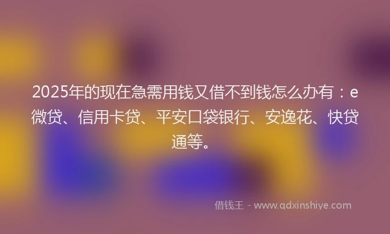 2025年的现在急需用钱又借不到钱怎么办有：e微贷、信用卡贷、平安口袋银行、安逸花、快贷通等。