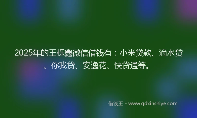 2025年的王栎鑫微信借钱有：小米贷款、滴水贷、你我贷、安逸花、快贷通等。