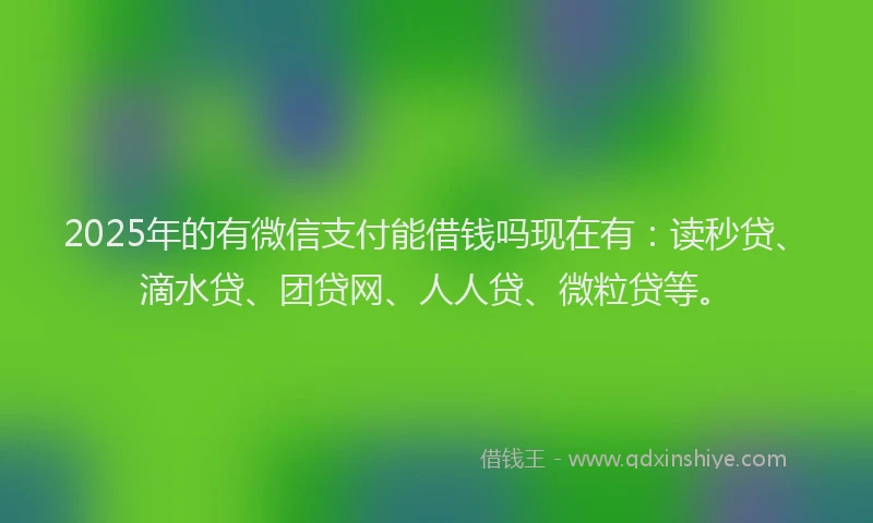 2025年的有微信支付能借钱吗现在有：读秒贷、滴水贷、团贷网、人人贷、微粒贷等。