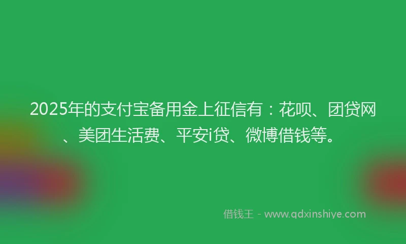 2025年的支付宝备用金上征信有：花呗、团贷网、美团生活费、平安i贷、微博借钱等。