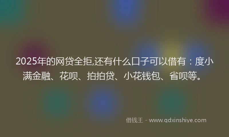 2025年的网贷全拒,还有什么口子可以借有：度小满金融、花呗、拍拍贷、小花钱包、省呗等。