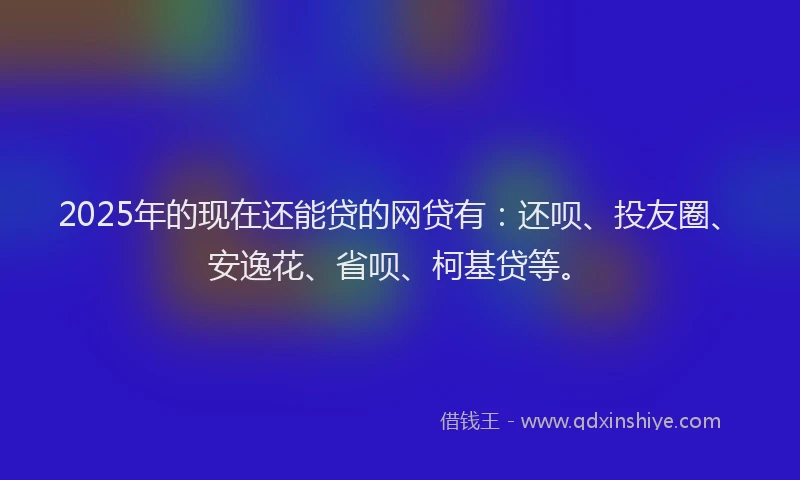 2025年的现在还能贷的网贷有：还呗、投友圈、安逸花、省呗、柯基贷等。